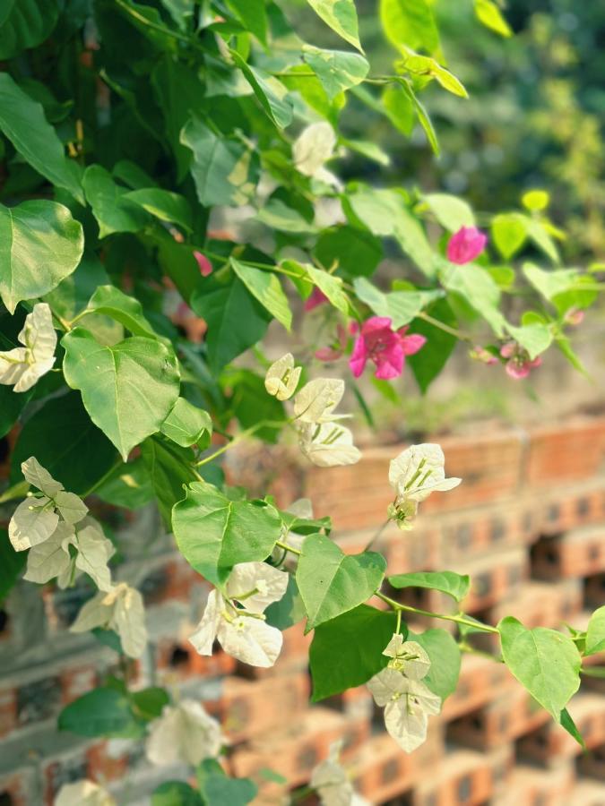 Trang An Moon Garden Homestay Ninh Binh Exterior photo